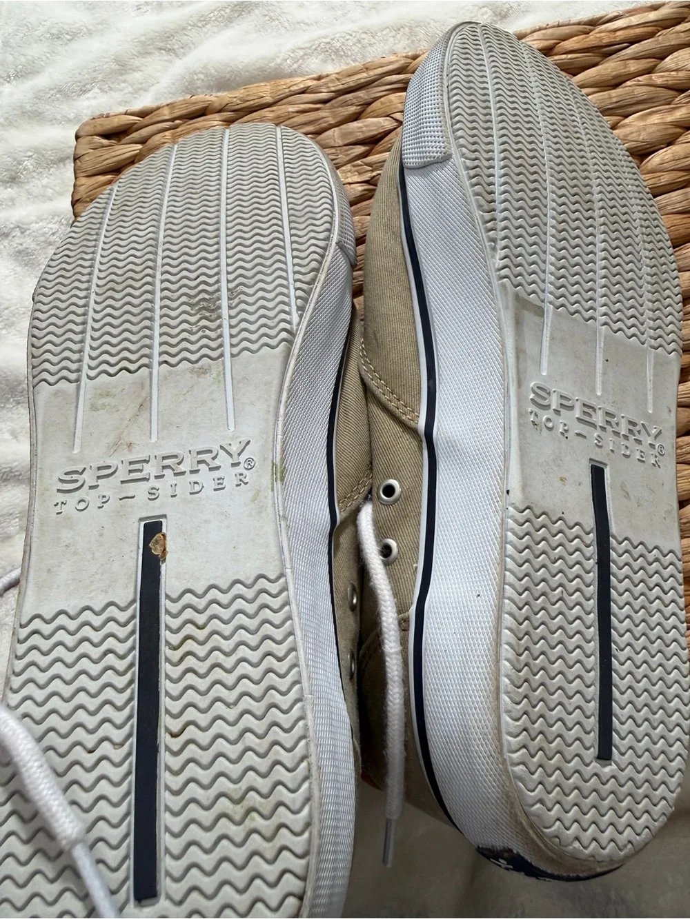 Sperry elevate your
